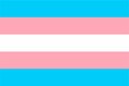 Transgender Flag